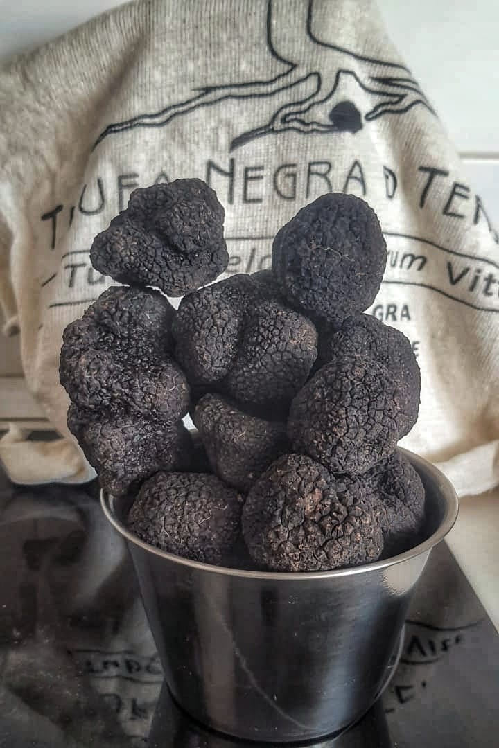 Venta a particulares: Trufa negra de invierno (Tuber Melanosporum)