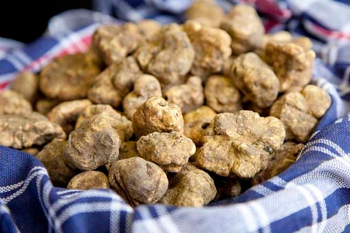 platos con trufas